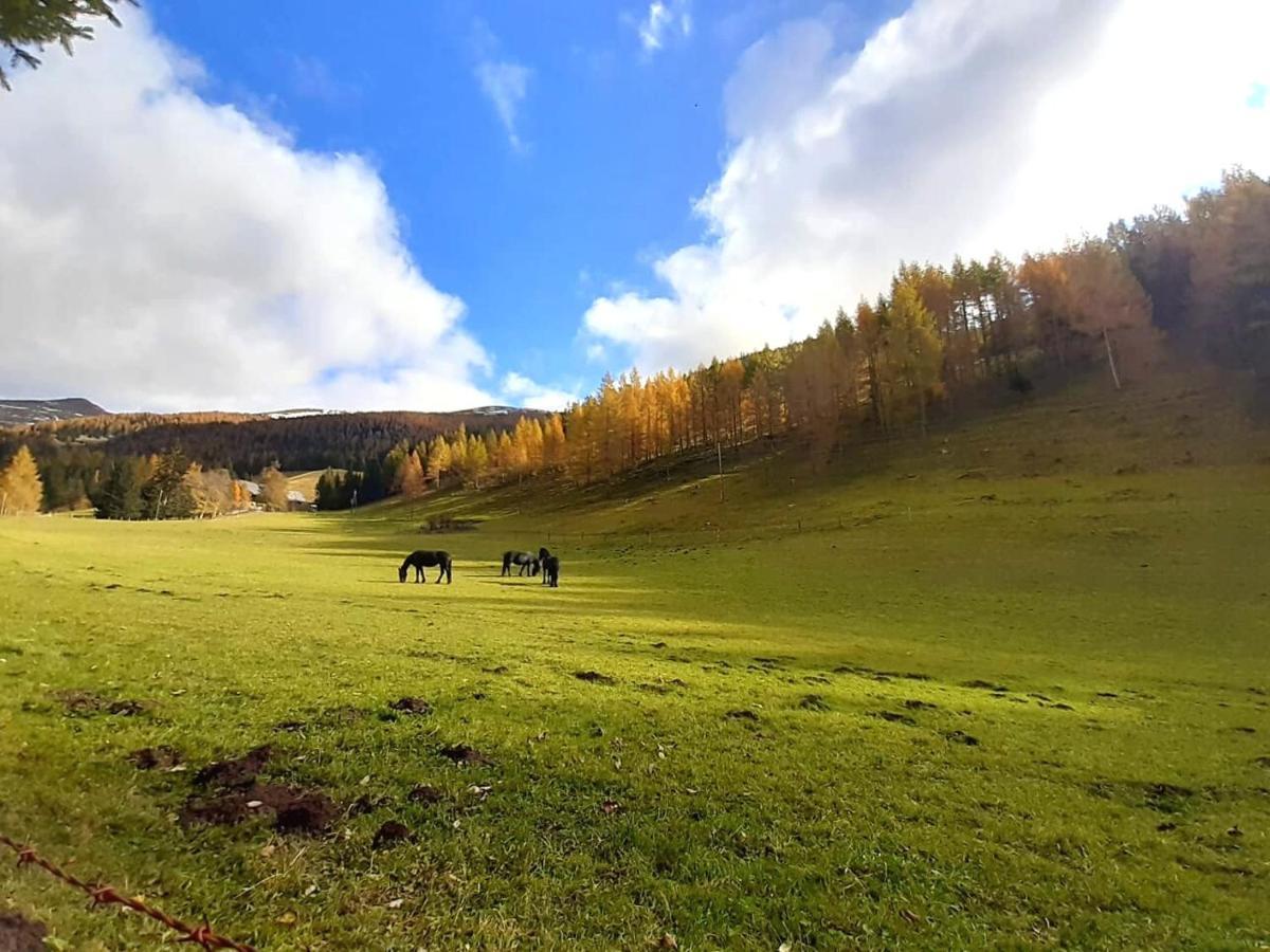 Chalet Verdino Bad Kleinkirchheim Bagian luar foto