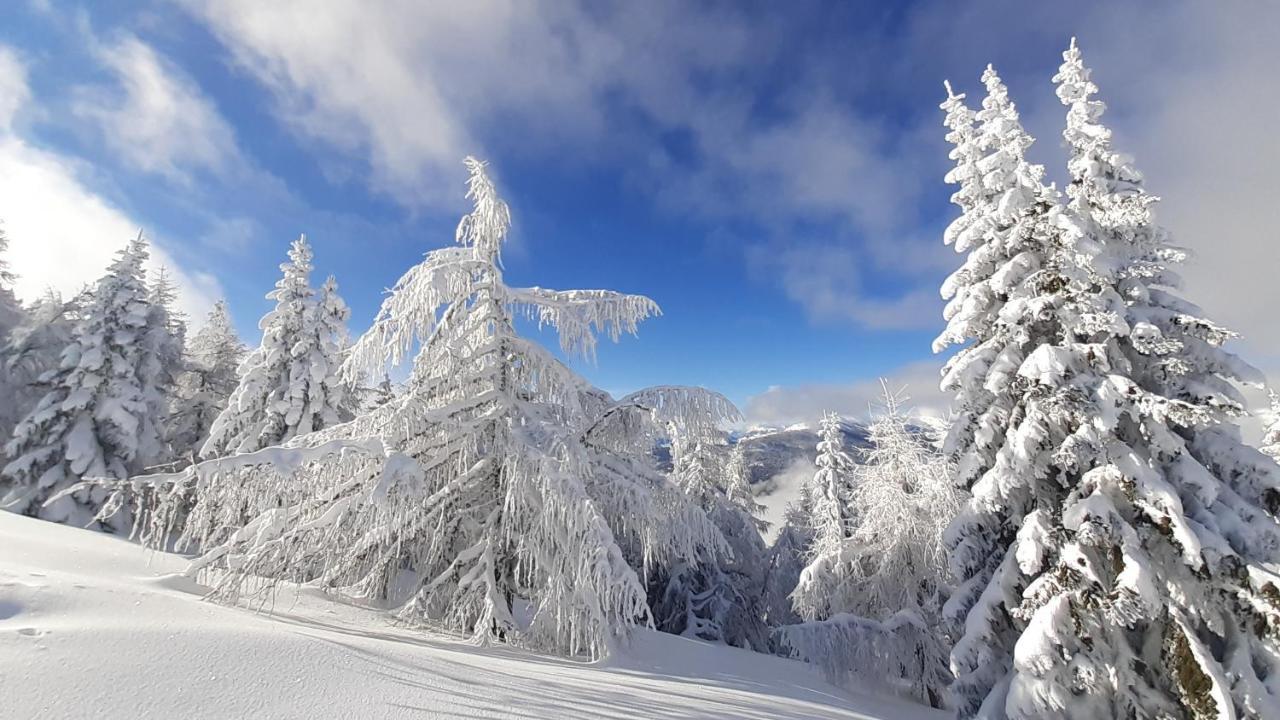Chalet Verdino Bad Kleinkirchheim Bagian luar foto