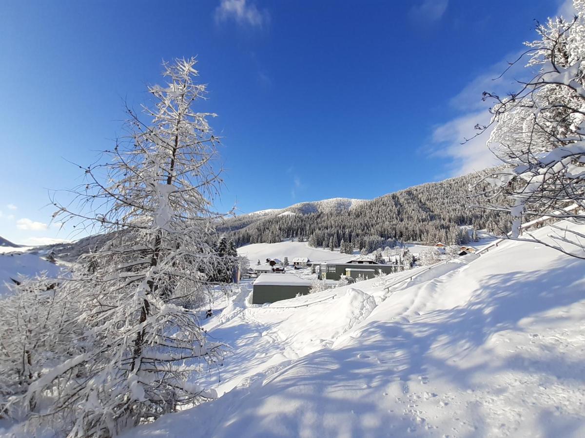 Chalet Verdino Bad Kleinkirchheim Bagian luar foto