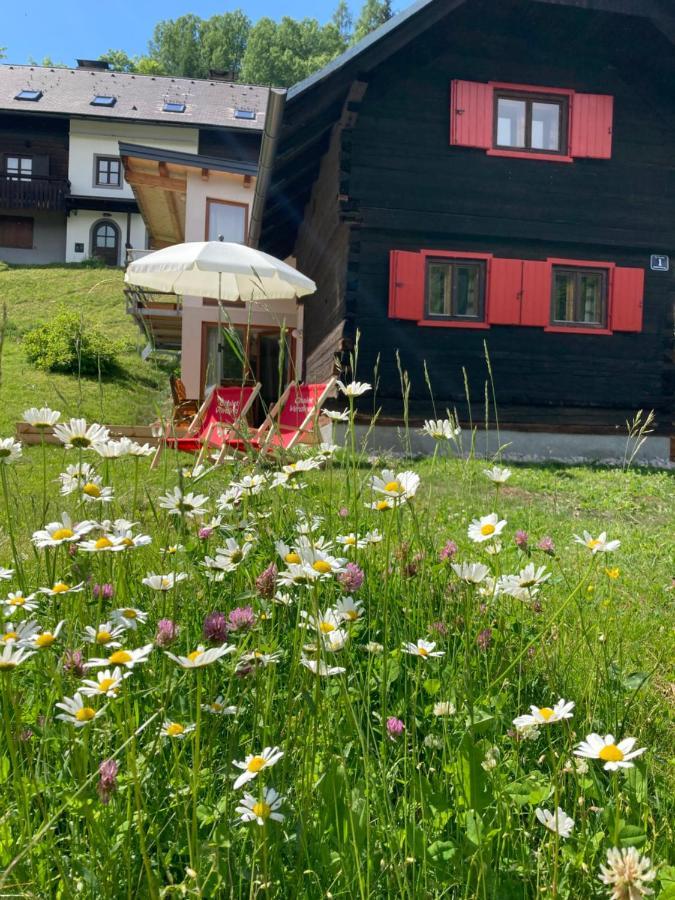 Chalet Verdino Bad Kleinkirchheim Bagian luar foto